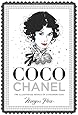 Coco Chanel: The Illustrated World of a Fashion Icon