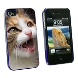 Graphics and More Tabby Kitten Cat Meow - Snap On Hard Protective Case for Apple iPhone 4 4S - Blue - Carrying Case - Non-Retail Packaging - Blue