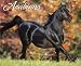 Books : Arabians 2009 Calendar