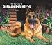 German Shepherds, For the Love of 2008 Deluxe Wall Calendar (Multilingual Edition)