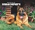 German Shepherds, For the Love of 2008 Deluxe Wall Calendar