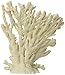 Deep Blue Professional ADB80100 Table Coral for Aquarium, 7.5 by 4 by 9-Inch