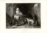 Landseer Dog, Jack In Office, Steel engraving