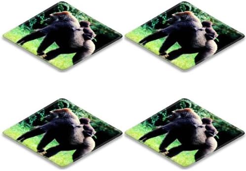 Gorilla Chimpanzees Ape Forest Anmials Square Coaster (4 Piece) Set Fabric Rubber 5 Inch Size Luxlady Coaster Cup Mug Can Water Bottle Drink Coasters Stain Resistance Collector Kit Kitchen Table Top Desk