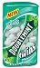 Health & Personal Care : Doublemint Wintercreme Twins, 0.58-Ounce Packs (Pack of 24)