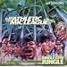 Jungle Gym Jungle