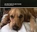 Life and Times of Lady the Dog: History of a golden retriever at Amazon Books: 51cr8Tr2J%2BL._SL75_