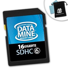 Buy DataMINE 16GB SDHC Class 6 Memory Card Featuring DataSAFE Technology for your... now!