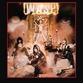 Wasp