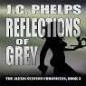 Reflections of Grey: Book Three of the Alexis Stanton Chronicles