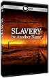 Slavery By Another Name