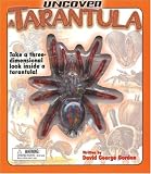 Uncover a Tarantula: Take a Three-Dimensional Look Inside a Tarantula! (Uncover Books)