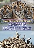 Animals under threat