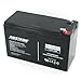 Amstron Tripp Lite BCPERS450 Battery Replacement from AtBatt