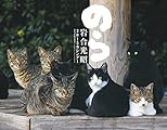 2015猫カレンダーのら ([カレンダー])