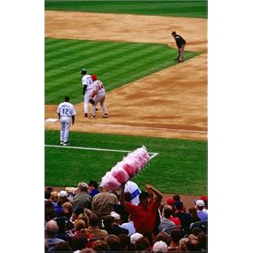 photographie Baseball game at Safeco field baseball stadium. est disperible en (L x H): 20 x 30 c...
