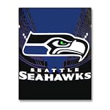 Seattle Seahawks NFL Micro-Raschel Throw (Stadium Series) (50x60)