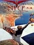AIRPLANE PLANE 1910 MEETING AVIATION NICE FRANCE FRENCH LARGE VINTAGE POSTER REPRO