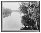Historic Print (L): Madison County, Fla. Apr. 1930. A scene on the Suwannee River / photo by George W. Acker