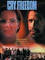 play video on Amazon Instant Video