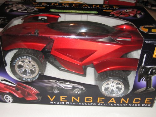 Vengeance Radio Controlled All-terrain Race Car