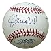 Tampa Bay Rays Team Autographed MLB Baseball - 16 signatures