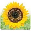 Yellow Sunflower Floral Computer Mouse Pad Mat