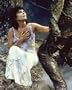 SWAMP THING 8X10 COLOR PHOTO