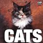 Cats (Supercubes)