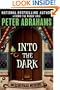 Into the Dark (Echo Falls Mysteries)