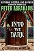 Books : Into the Dark (Echo Falls)
