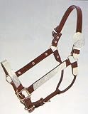 Silver Royal Mirrored Edge Silver Show Halter