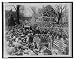 Historic Print (L): [President William H. Taft standing in automobile being driven along street between larg