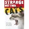 Stories of Feline Affections