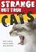 Stories of Feline Affections