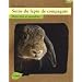 Soins du lapin de compagnie : Bien-�tre et maladies