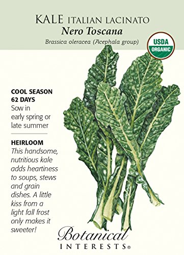Italian Nero Toscana Kale Seeds - .50 grams - Organic - Botanical Interests Italian Nero Toscana Kale Seeds - .50 grams - Organic - Botanical Interests