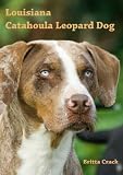 Louisiana Catahoula Leopard Dog: Charakter, Standard und Geschichte