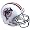 Miami Dolphins