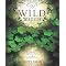 Green Witchcraft
