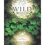 Craft Of The Wild Witch: Green Spirituality & Natu&hellip de Poppy Palin