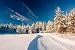 Nordic Ski Track - 36W x 24H - Peel and Stick Wall Decal by Wallmonkeys
