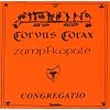 Congregatio