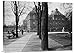 Global Gallery GCS-455110-30-142