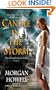 Candle in the Storm: The Shadowed Path     Book 2