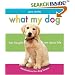 What My Dog Has Taught Me About Life: Meditations for Dog Lovers