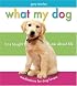 What My Dog Has Taught Me About Life: Meditations for Dog Lovers
