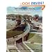 The Enduring Vision: A History of the American People, Volume 2: From 1865, Concise