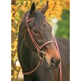Henri de Rivel Horse Square Raised Bridle w/ Laced Reins Pro Collection