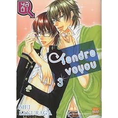 Tendre voyou T03